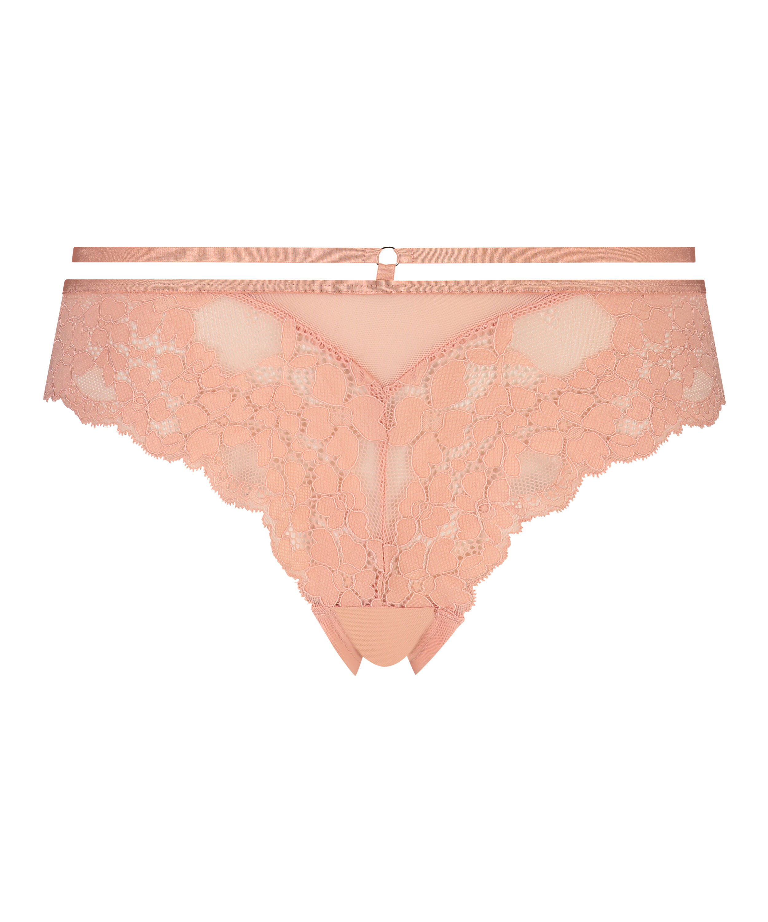 Brazilian Isabelle, Rose Brazilian Isabelle, Rose